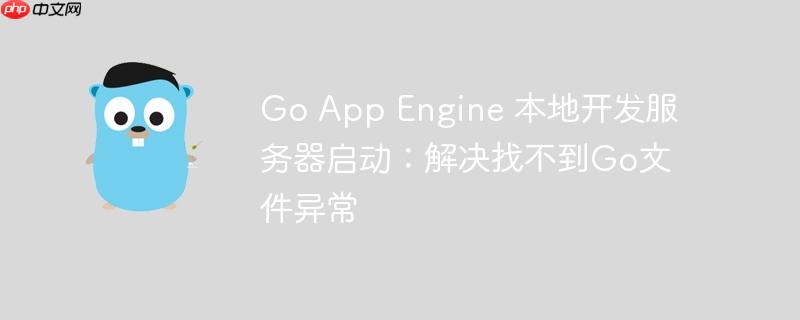 Go App Engine 本地开发服务器启动：解决找不到Go文件异常