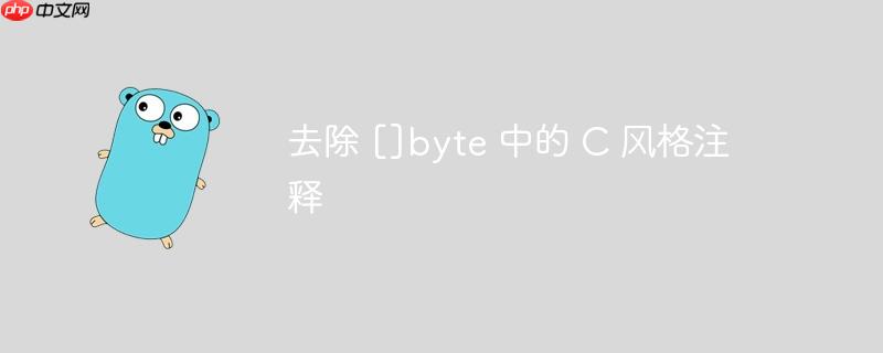 去除 []byte 中的 C 风格注释
