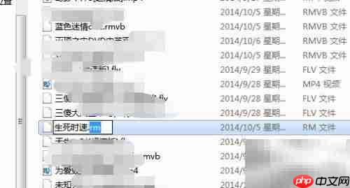 RM格式文件播放方法