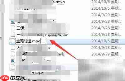 RM格式文件播放方法