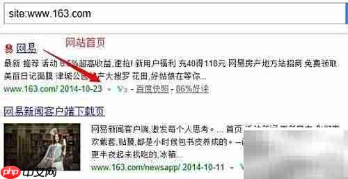 高级搜索指令site用法详解