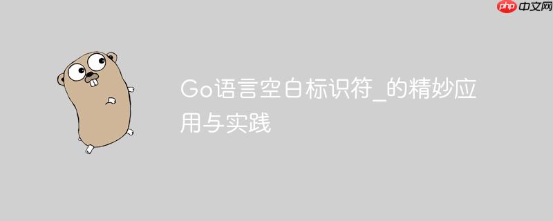 Go语言空白标识符_的精妙应用与实践