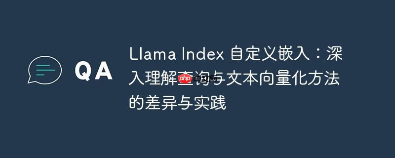 Llama Index 自定义嵌入：深入理解查询与文本向量化方法的差异与实践