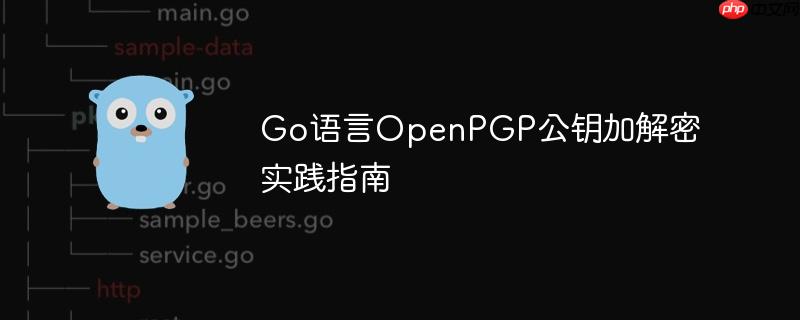 Go语言OpenPGP公钥加解密实践指南