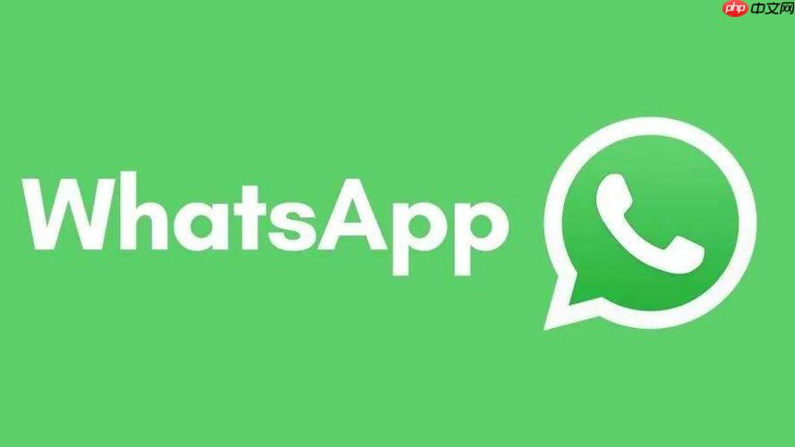 WhatsApp通话录音功能入口-WhatsApp语音消息中文官网教程