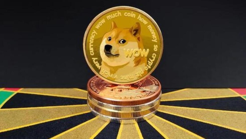 DOGE首个ETF上线，狗狗币价格前景一文看懂 - 创想鸟