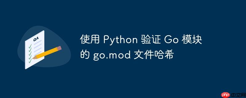 使用 Python 验证 Go 模块的 go.mod 文件哈希