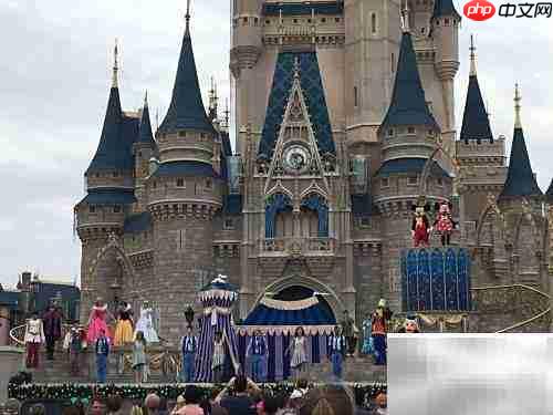 畅游魔法王国全攻略