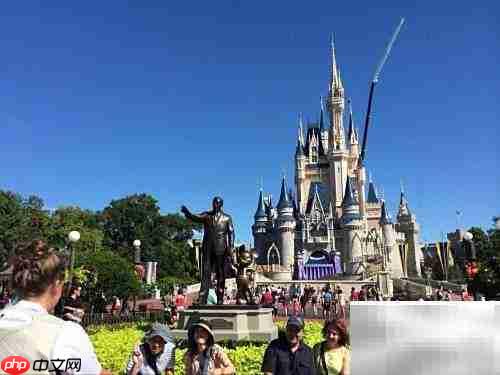 畅游魔法王国全攻略