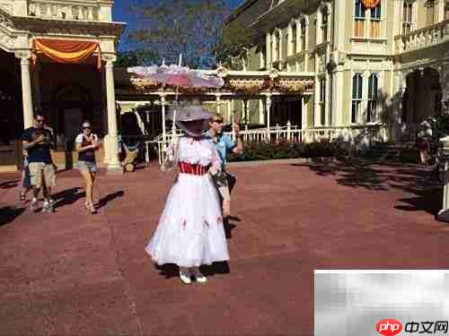 畅游魔法王国全攻略