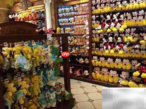 畅游魔法王国全攻略