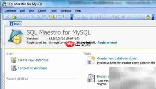 Maestro关闭数据库连接方法