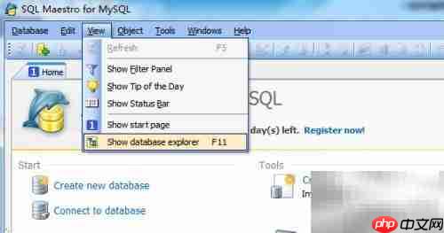 Maestro关闭数据库连接方法