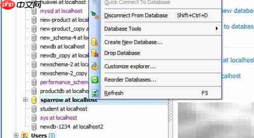 Maestro关闭数据库连接方法