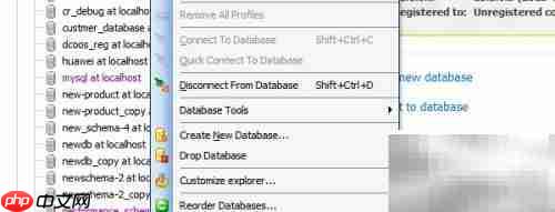 Maestro关闭数据库连接方法