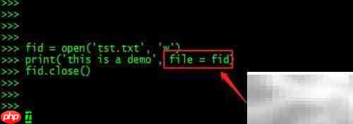 Python print高级技巧
