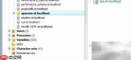 Maestro删除数据库表教程