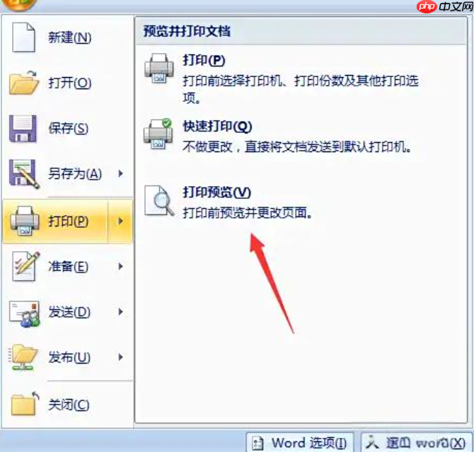 word2007怎么打印文档？word2007打印文档的步骤