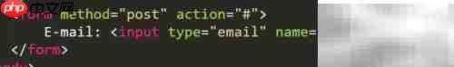 HTML email输入类型详解