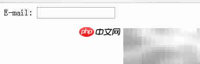 HTML email输入类型详解