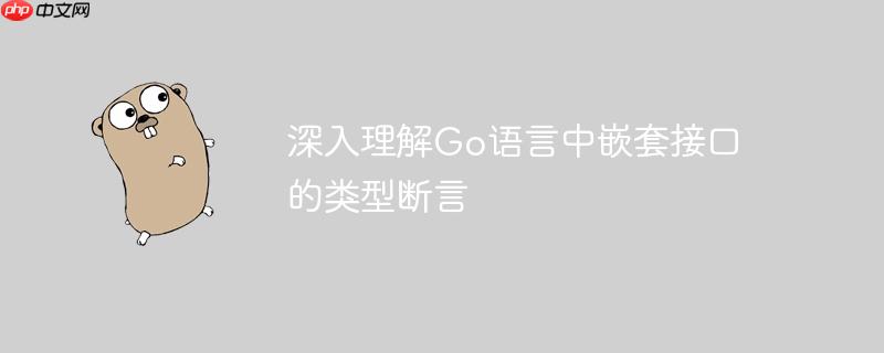 深入理解Go语言中嵌套接口的类型断言