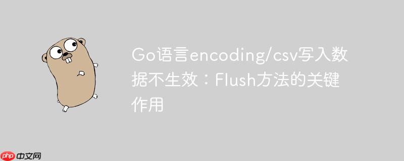 Go语言encoding/csv写入数据不生效：Flush方法的关键作用