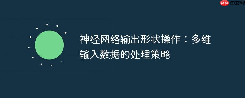 神经网络输出形状操作：多维输入数据的处理策略