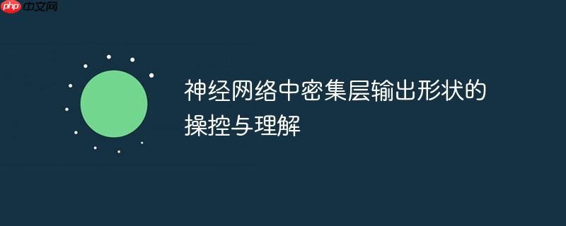 神经网络中密集层输出形状的操控与理解