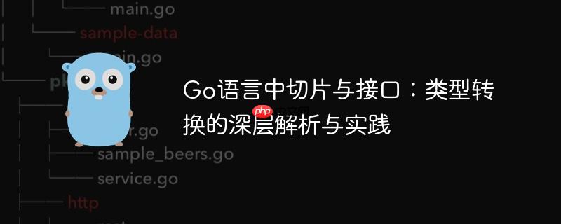 Go语言中切片与接口：类型转换的深层解析与实践