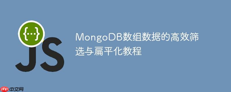 MongoDB数组数据的高效筛选与扁平化教程