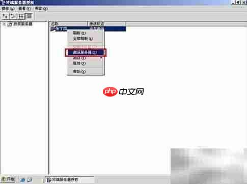 激活Win Server 2003终端服务