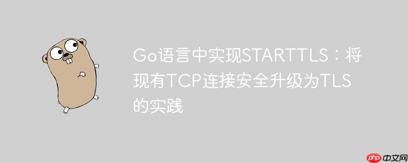 Go语言中实现STARTTLS：将现有TCP连接安全升级为TLS的实践