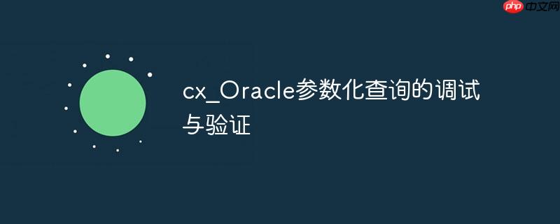 cx_Oracle参数化查询的调试与验证