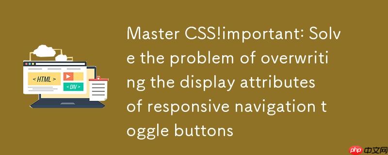 掌握CSS !important：解决响应式导航切换按钮的显示属性覆盖难题