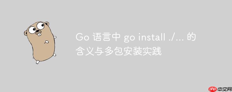 Go 语言中 go install ./... 的含义与多包安装实践