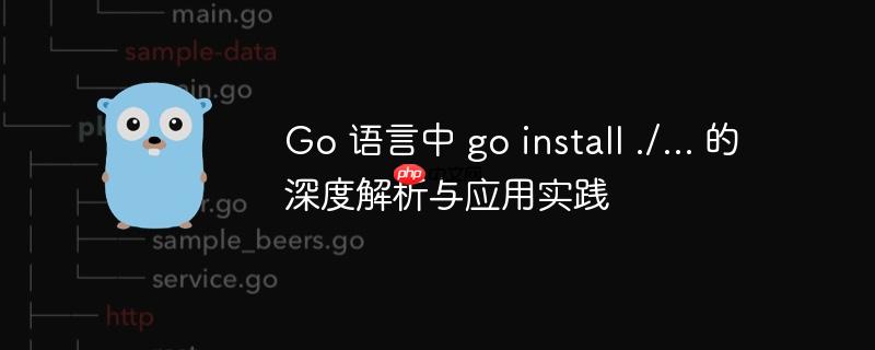 Go 语言中 go install ./... 的深度解析与应用实践