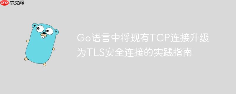 Go语言中将现有TCP连接升级为TLS安全连接的实践指南