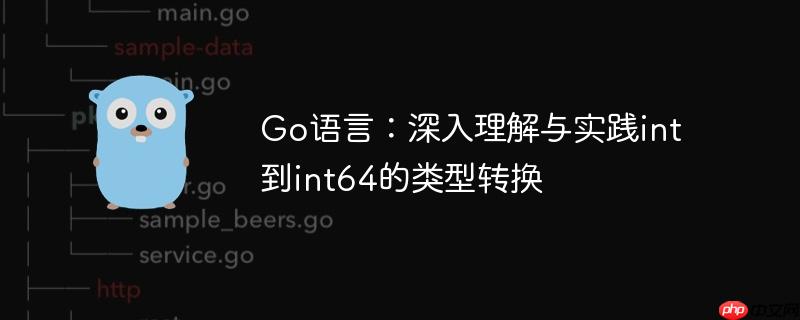 Go语言：深入理解与实践int到int64的类型转换