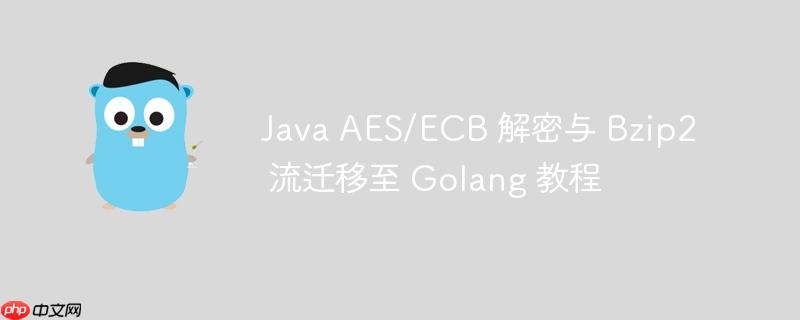 Java AES/ECB 解密与 Bzip2 流迁移至 Golang 教程