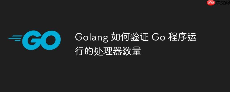 Golang 如何验证 Go 程序运行的处理器数量