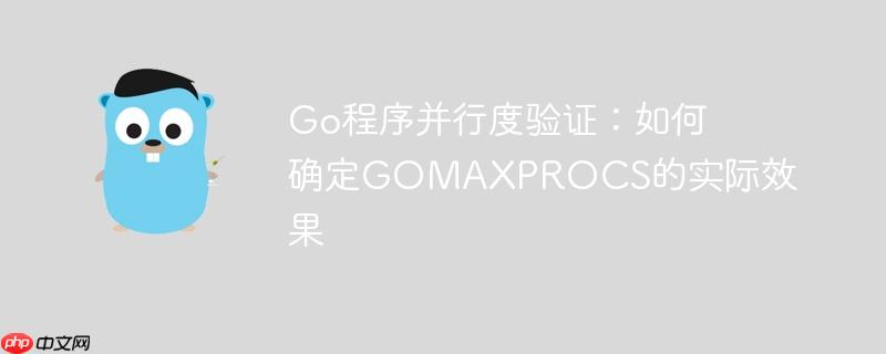 Go程序并行度验证：如何确定GOMAXPROCS的实际效果
