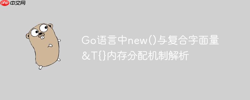 Go语言中new()与复合字面量&T{}内存分配机制解析
