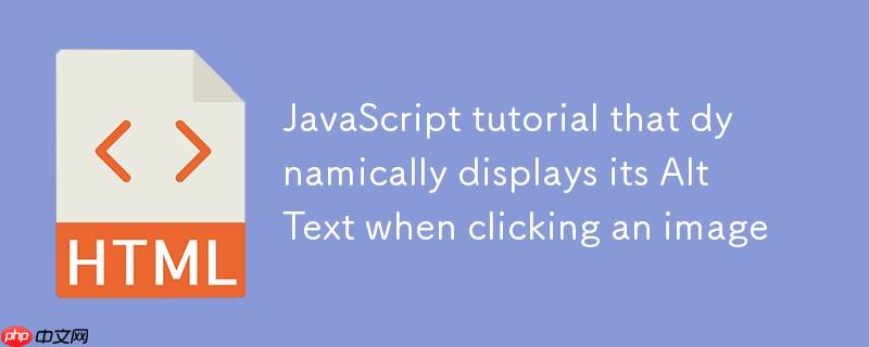 在点击图片时动态显示其替代文本（Alt Text）的JavaScript教程