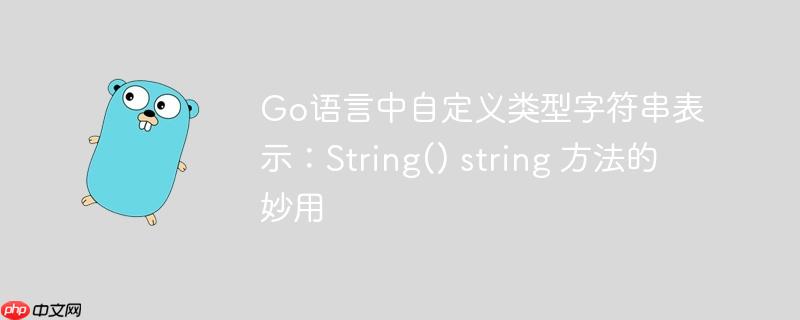 Go语言中自定义类型字符串表示：String() string 方法的妙用