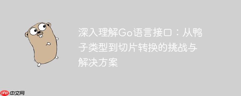 深入理解Go语言接口：从鸭子类型到切片转换的挑战与解决方案