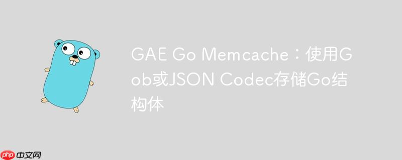 GAE Go Memcache：使用Gob或JSON Codec存储Go结构体