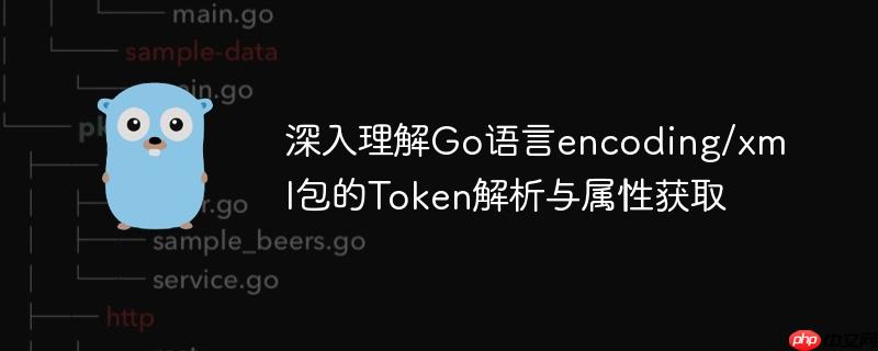 深入理解Go语言encoding/xml包的Token解析与属性获取