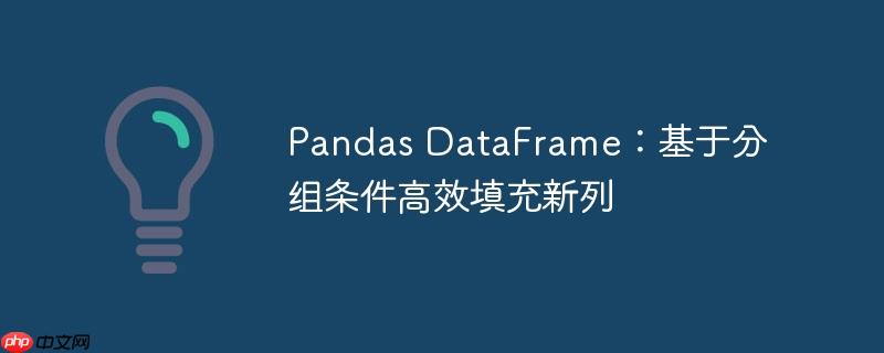 Pandas DataFrame：基于分组条件高效填充新列