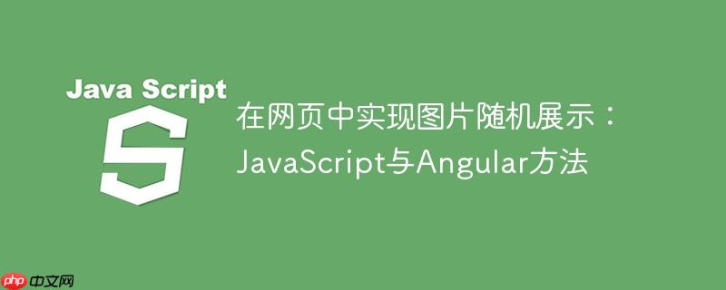 在网页中实现图片随机展示：JavaScript与Angular方法