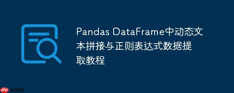 Pandas DataFrame中动态文本拼接与正则表达式数据提取教程